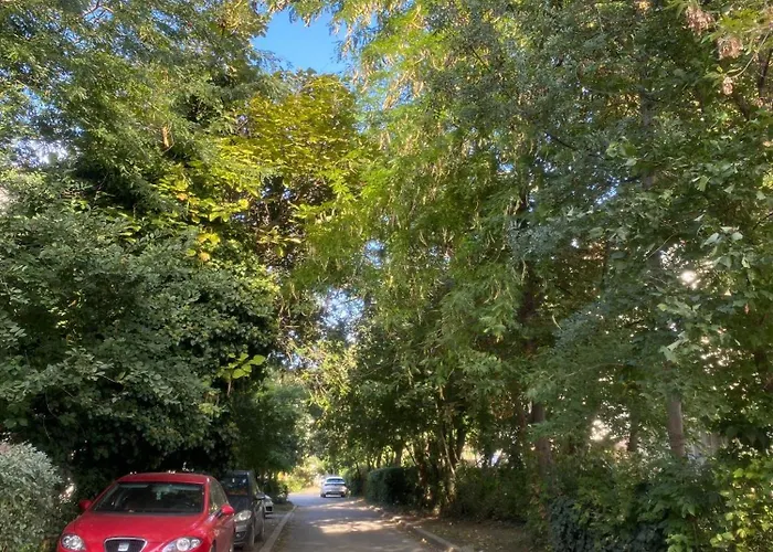 Apartment Cozy Corner Constanta